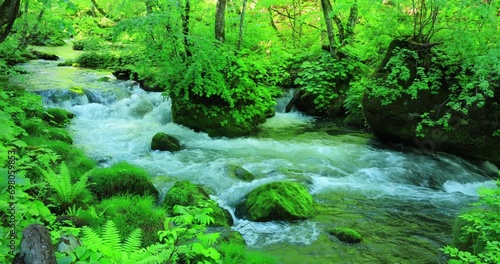新緑の奥入瀬渓流　青森県