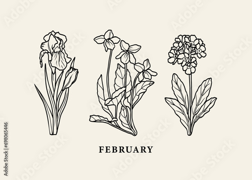 Line art birth month flowers. Iris, violet, primrose