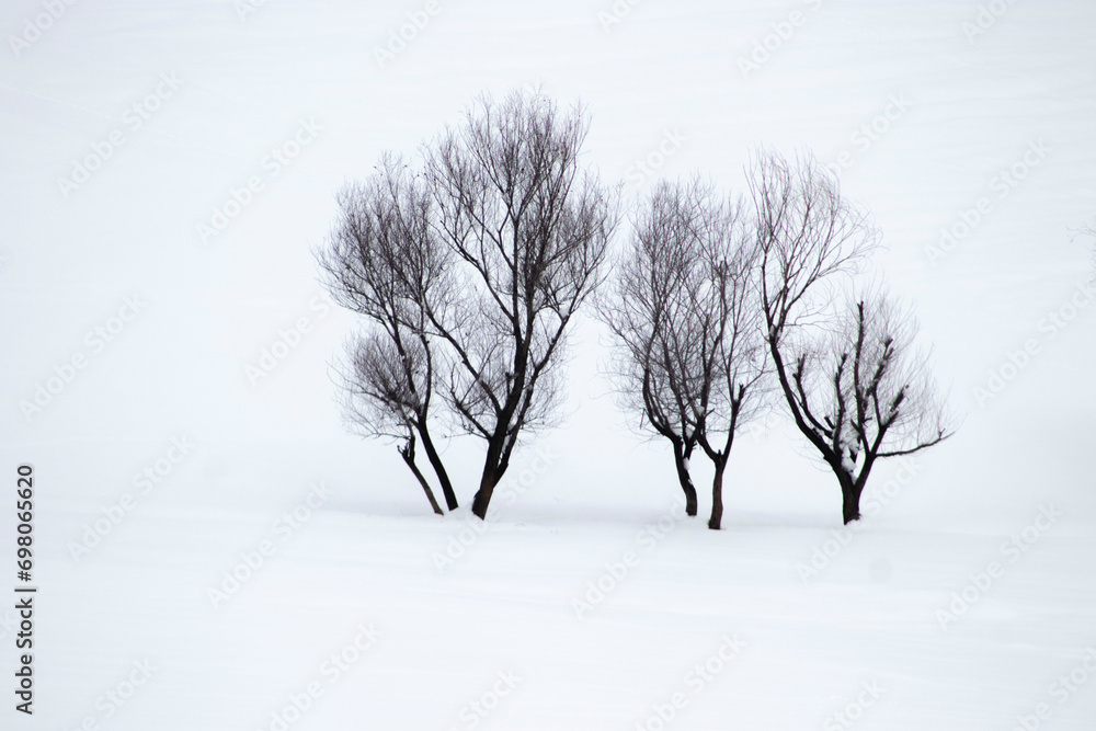 winter landscape cold weather and city winter landscape cold weather and city