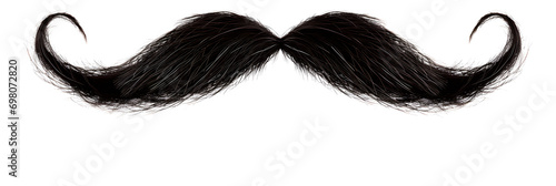  a mustache with curly black hair