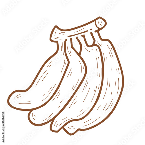 Fruit banana illustration 