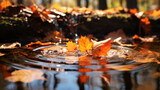Eco podium water transparent autumn leaves in a pudd