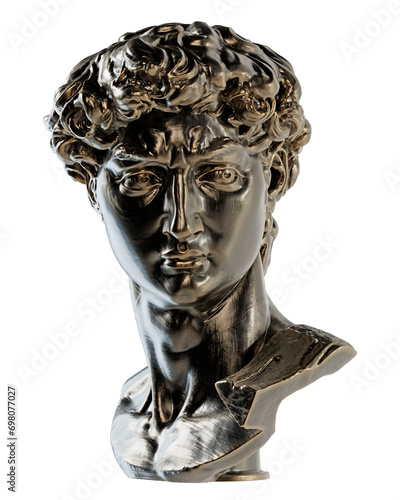 David head from Michelangelo statue (ID: 698077027)