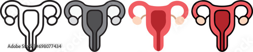 human anatomy. Uterus icon with 4 different styles.