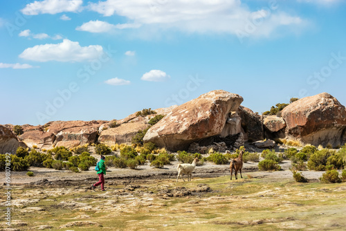 A tourist girl walks near llamas in the valley of stones .Bolivia. Villamar Mallcu.