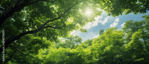 Green leaves in summer. Lush and bright panorama