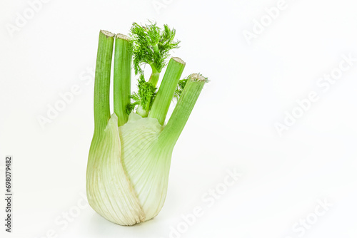 fennel bulb on white glass surface