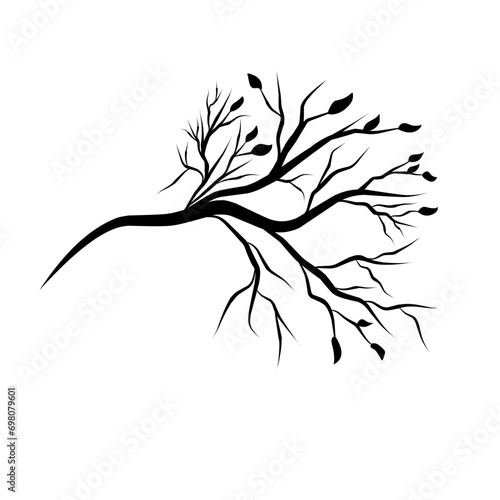 tree branch silhouette vector