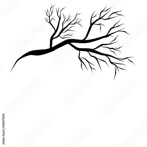 tree branch silhouette vector