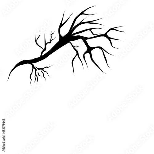 tree branch silhouette vector