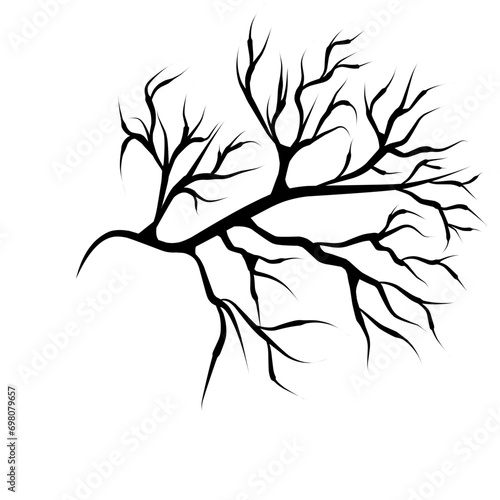 tree branch silhouette vector