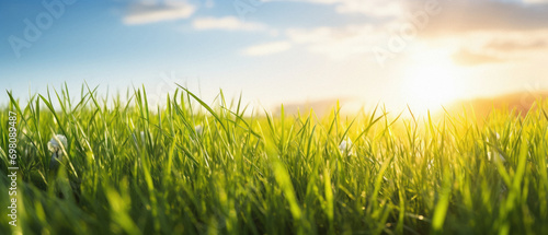 Green grass and blue sky with sun. Nature background. Selective focus .