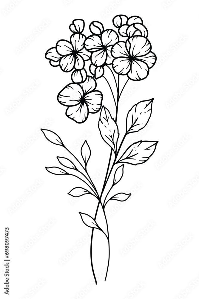 Hawthorns Line Art. Hawthorns outline Illustration. May Birth Month Flower. Hawthorns outline isolated on white. Hand painted line art botanical illustration.