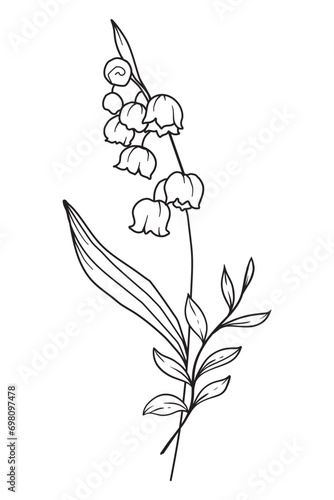 Lily Of the Valley Line Art. Lily Of the Valley outline Illustration. May Birth Month Flower. Lily Of the Valley flower outline isolated on white. Hand painted line art botanical illustration.