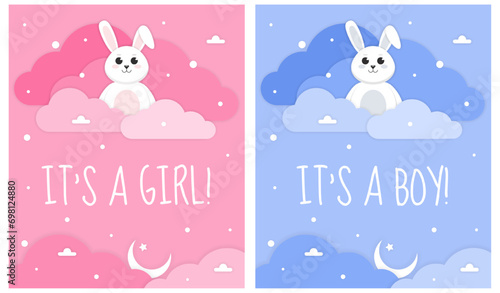 Its a girl, Its a boy card. Set of invitation card for baby new born celebration with cartoon rabbit and clouds. Paper cut style. Pink and blue background.