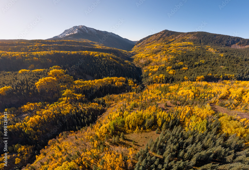 Aerial Scenic Autumn Views of Colorado Mountain Forest. Colorful Yellow and Green Aspen and Pine Trees.