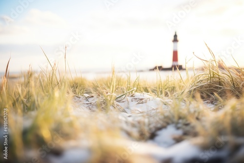 frozen coastal vegetation, framing a distant lighthouse
