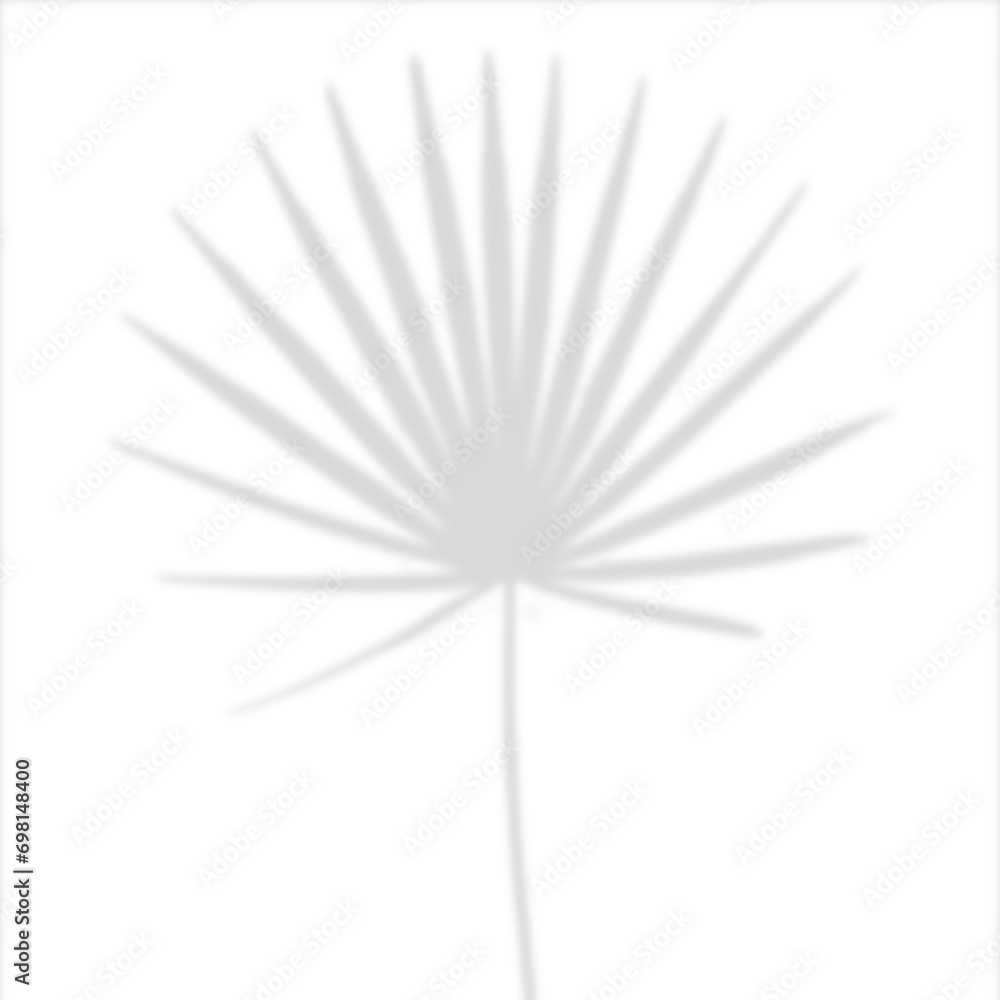 Obraz premium Transparent leaves shadow overlay effect