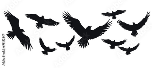 black birds Flying. Isolated on transparent background