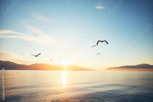 gulls flying over calm sea during sunrise