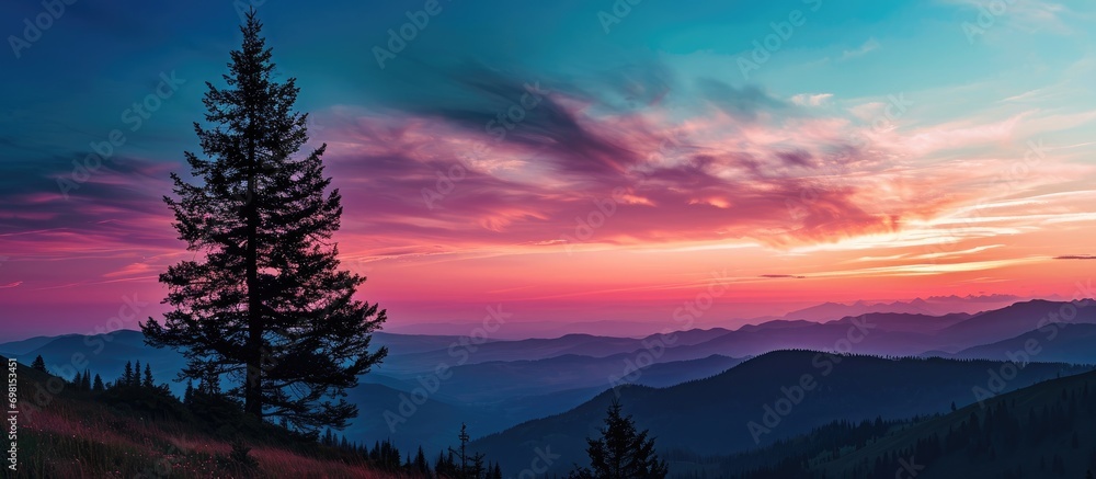 Colorful sky and pine tree silhouetted against sunset over mountain landscape.