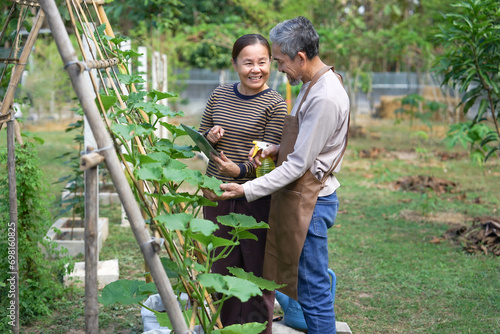 happy asian elderly couple talking how to take care of pumpkin plant by searching on online tablet computer in vegetables garden,concept of older adult lifestyle,activity,hobby,relaxing in nature