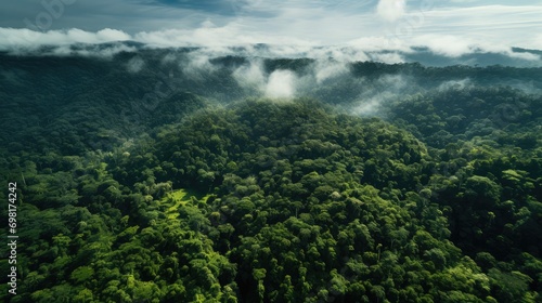 An aerial view of the Amazon rainforest with dense green trees covering the ground, slow shutter speed photography, pencil drawing, 2K, high resolution  © sambath