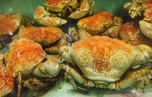 Giant Crabs being sold at Sydney Fish Market at Blackwattle Bay, Sydney, Dec 2019.
