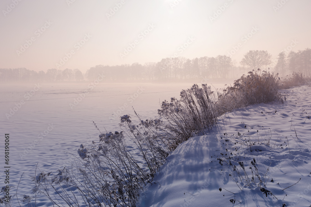 Krajobraz zimowy, mglisty świt - obrazy, fototapety, plakaty 