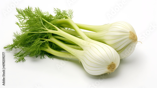 Fresh Fennel Bulbs with Green Stems, White Background