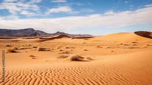 sand dunes in the desert