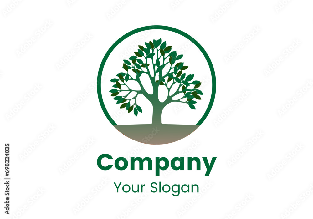 Fototapeta premium tree with leaves