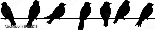 Vector silhouettes of birds. Doves on wires. Shadows of seated and flying birds. AI generated illustration.