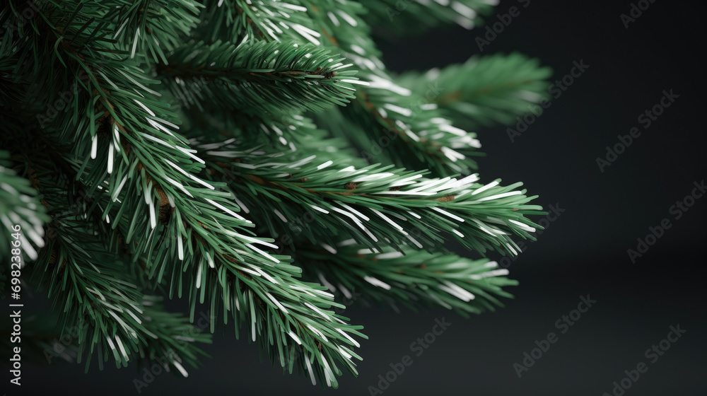 Close-up view of pine tree branch. This image can be used to showcase intricate details of nature. . Close-up view of pine tree branch. This image can be used to showcase intricate details of nature. .