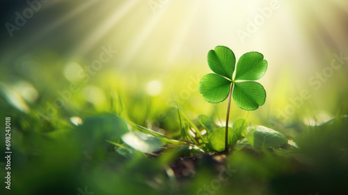 Picture of four leaf clover lying in grass. This image can be used to represent luck or good fortune. photo