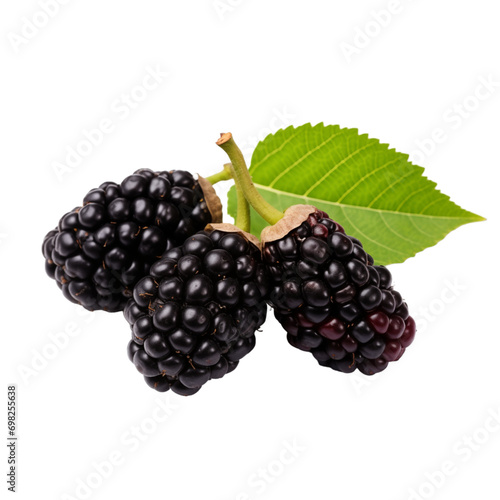 fresh organic mulberry cut in half sliced with leaves isolated on white background with clipping path
