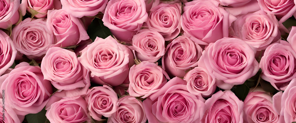 Floral Elegance: Multiple Pink Roses Blossoming Together, Creating a Beautiful and Vibrant Image - Pink Roses Background Floral Elegance: Multiple Pink Roses Blossoming Together, Creating a Beautiful and Vibrant Image - Pink Roses Background