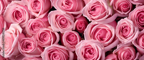 Valentine's Day Delight: A Bunch of Elegant Roses in Various Shades of Pink, Creating a Gentle and Romantic Background - Pink Roses Background