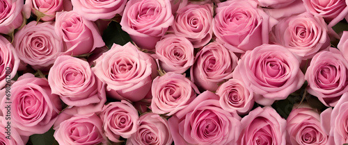 Floral Elegance  Multiple Pink Roses Blossoming Together  Creating a Beautiful and Vibrant Image - Pink Roses Background