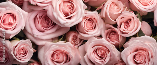 Elegant Wedding Blooms  A Stunning Bouquet of Pink Roses  Creating a Romantic and Tranquil Composition - Light Pink Roses Background