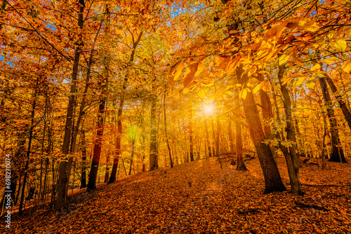 Fototapeta Naklejka Na Ścianę i Meble -  Beautiful colorful Nature Fall Scenery