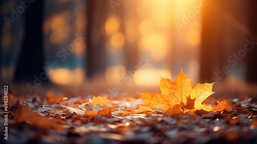 Autumn leaves on the ground in the park on blurred background. Fall season concept. Copy space. Selective focus.