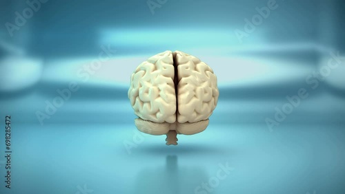 Human Brain Lobe - Parts | Loopable matte key stock video
