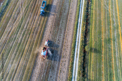 aerial view of agricultural machinery working in the potato harvest photo