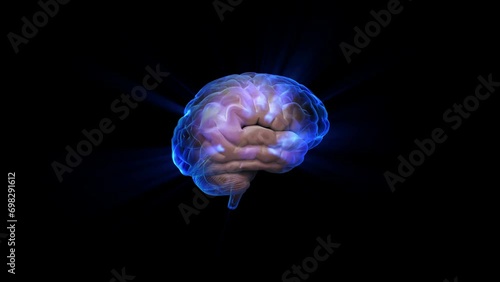 Human brain with neuronal impulses. Blue human brain making light and rotating spining. X-ray The shiny of intelligence, Light ray Blue brain activity. 3D rendering animation background stock video