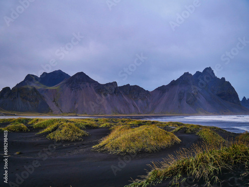 black coast surrounded by mountains and vegetation Stokksnes in iceland