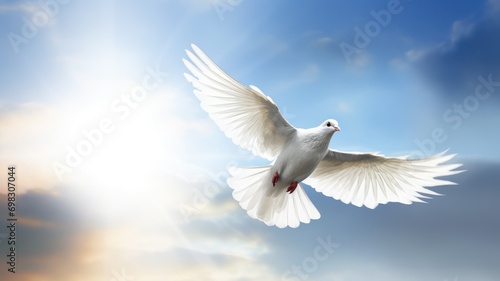 A white dove in flight against a blue sky