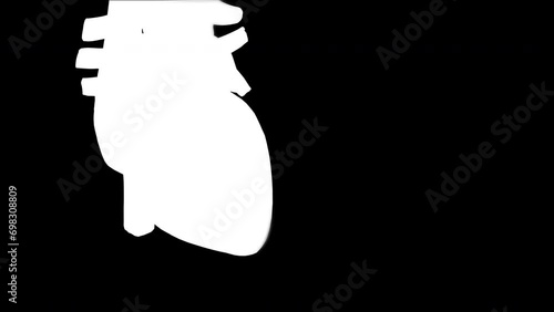 3d Realistic Human Heart beat animation Human Heart Animation 3D rendering (loop) Alpha Channel