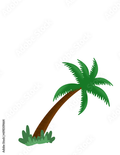 Coconut tree illustration