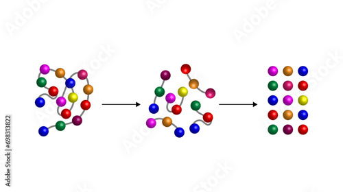 Protein Digestion. Proteases Enzymes (proteinases and peptidases) are digesting the protein into small peptide chains then into single amino acids, to be absorbed into the blood stream. Vector design. photo